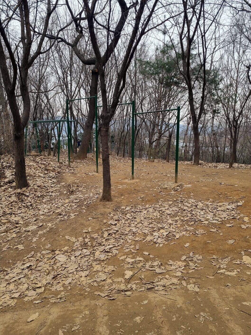 상세
