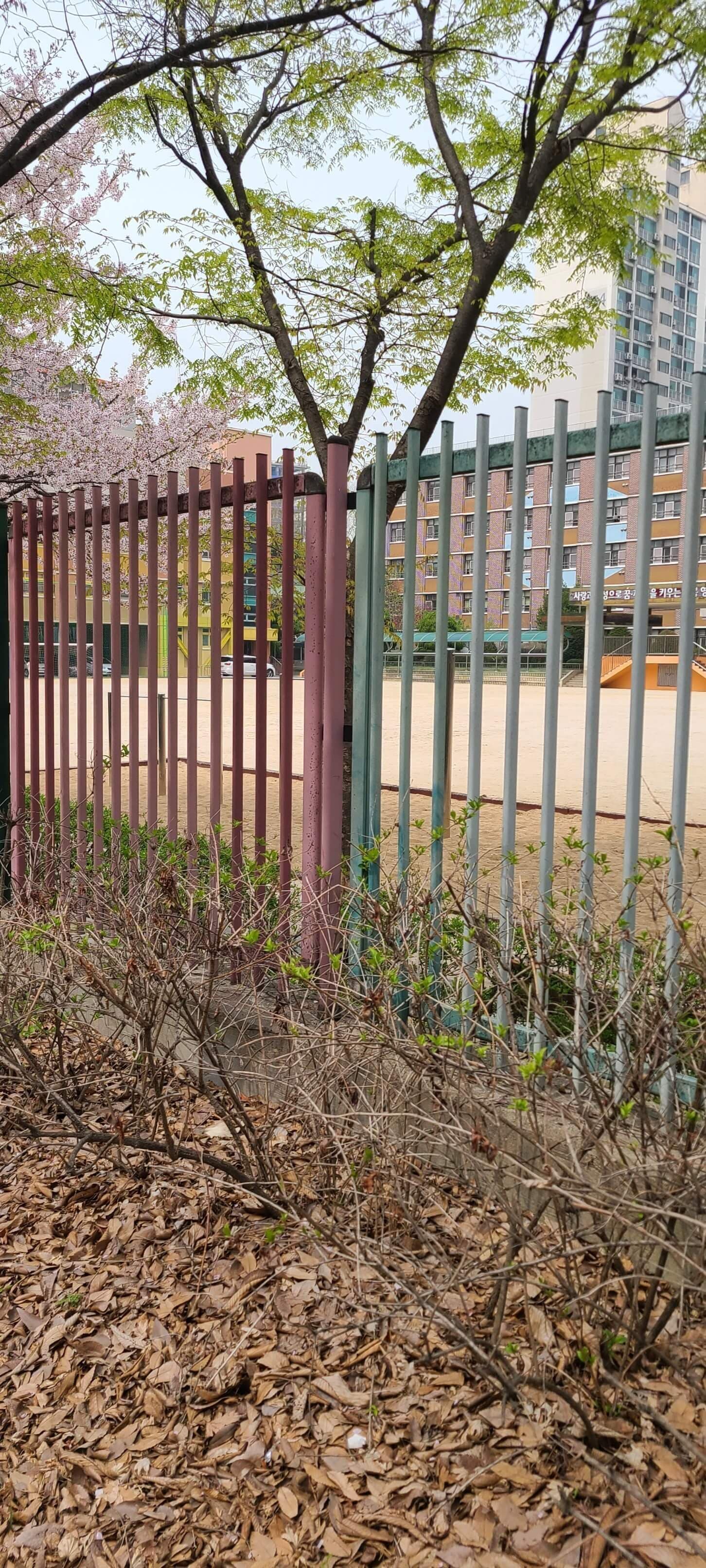 상세
