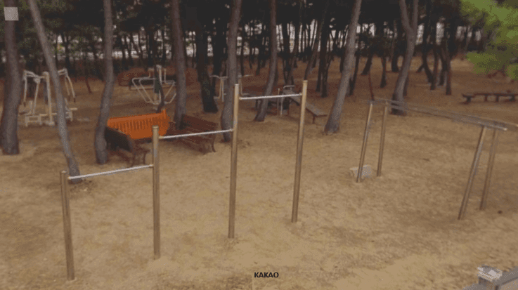 상세