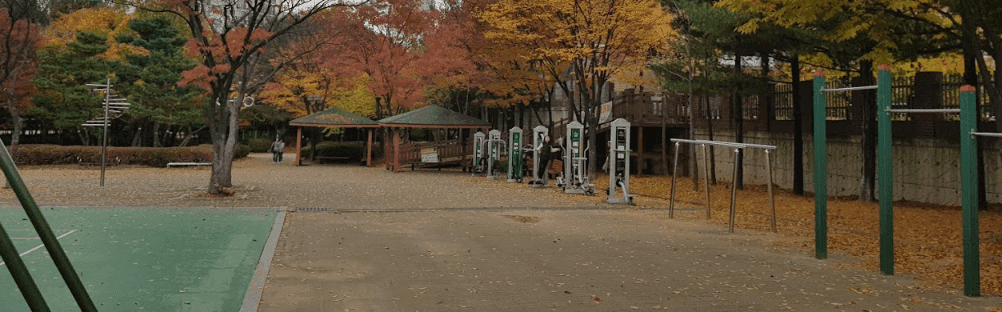 상세
