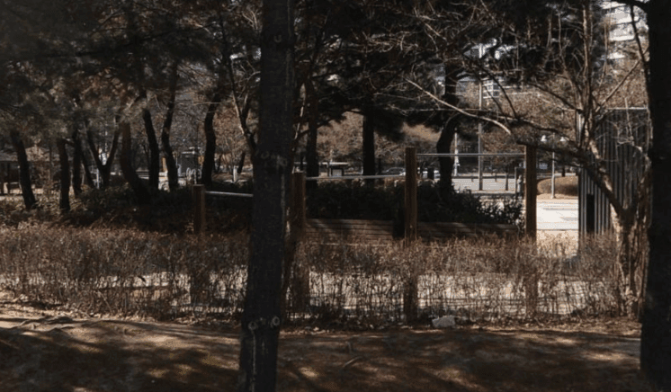 상세
