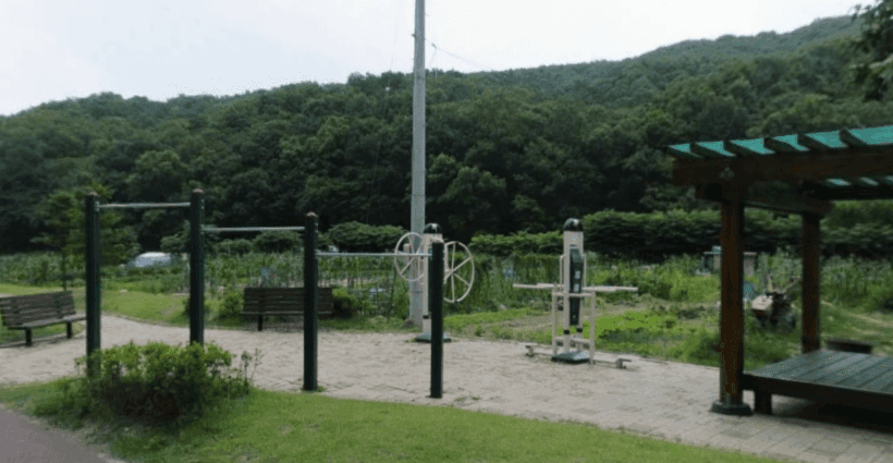 상세