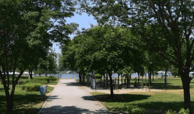 상세