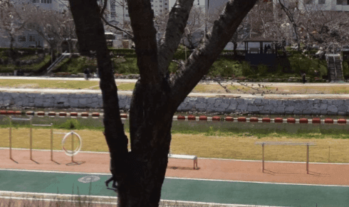 상세