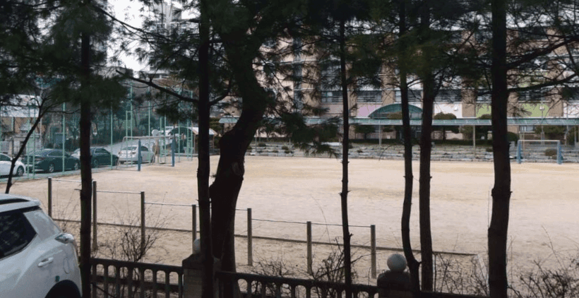 상세