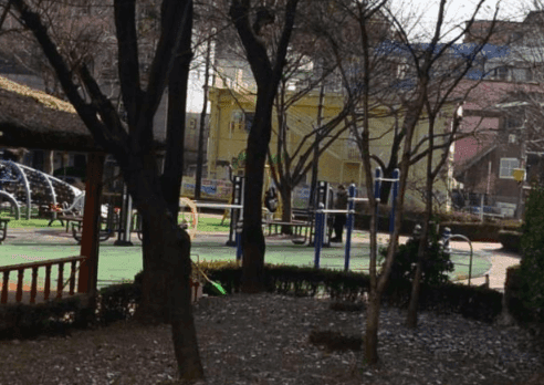 상세