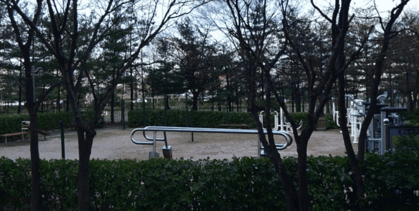상세