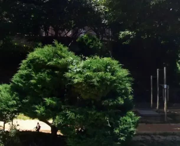 상세