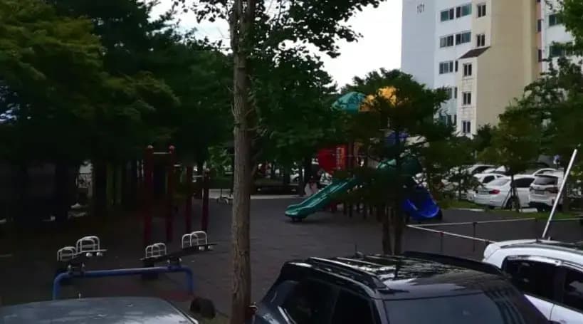 상세