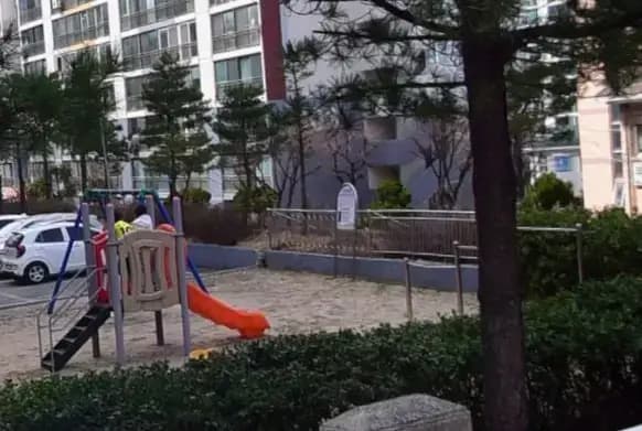 상세