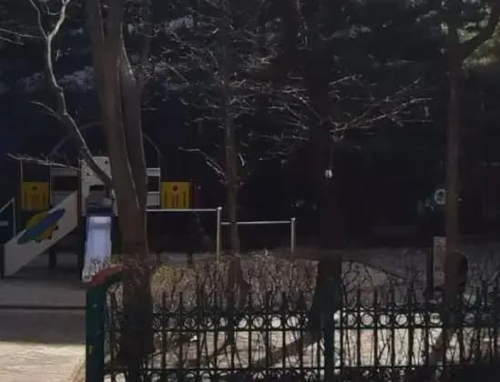 상세