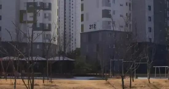 상세