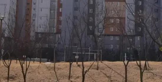 상세
