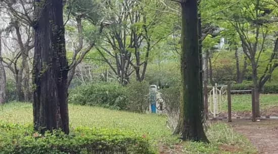 상세