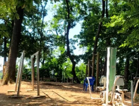 상세