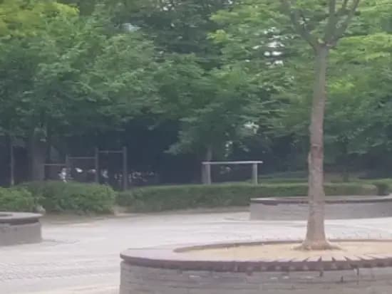 상세