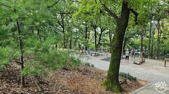 상세
