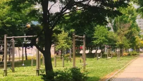 상세