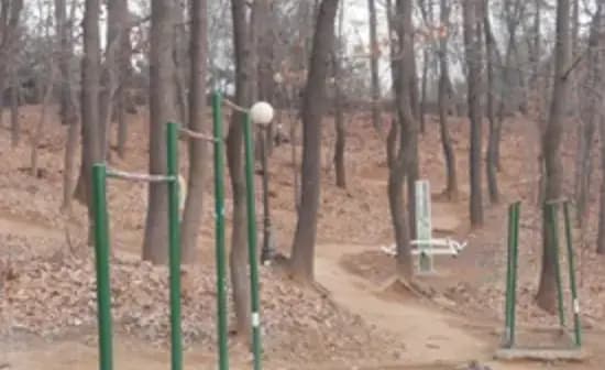 상세