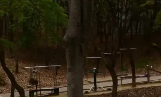 상세
