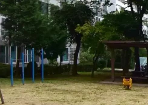 상세
