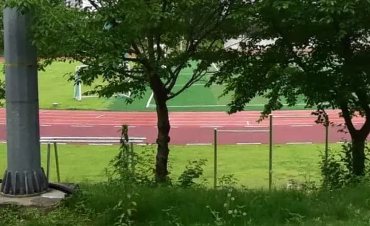 상세