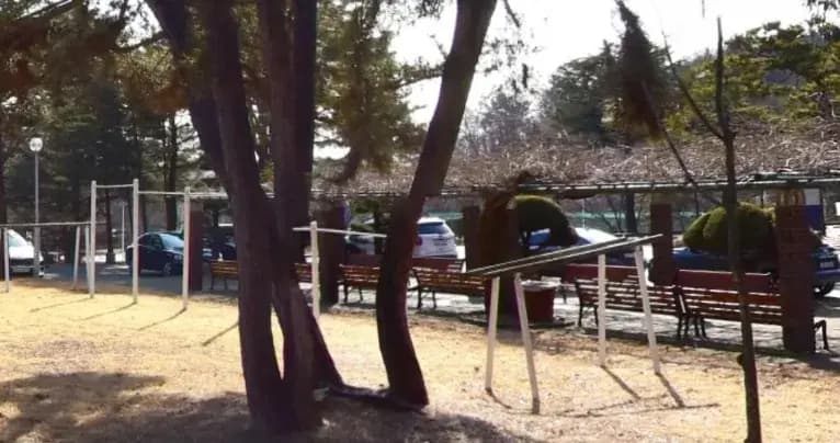 상세