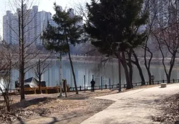 상세