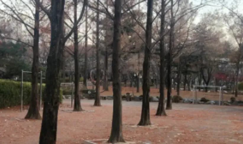 상세