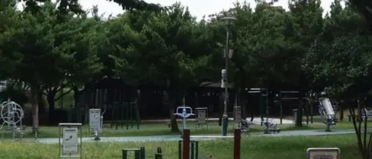 상세