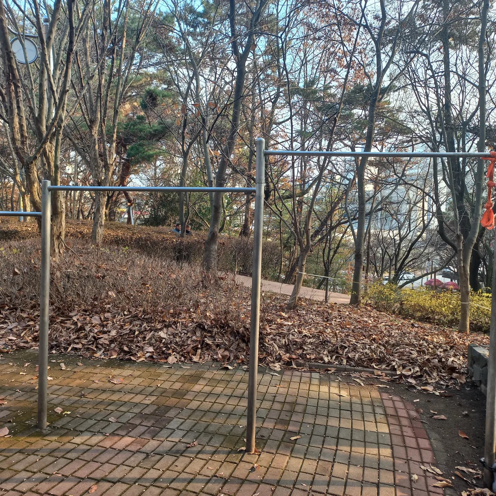 상세