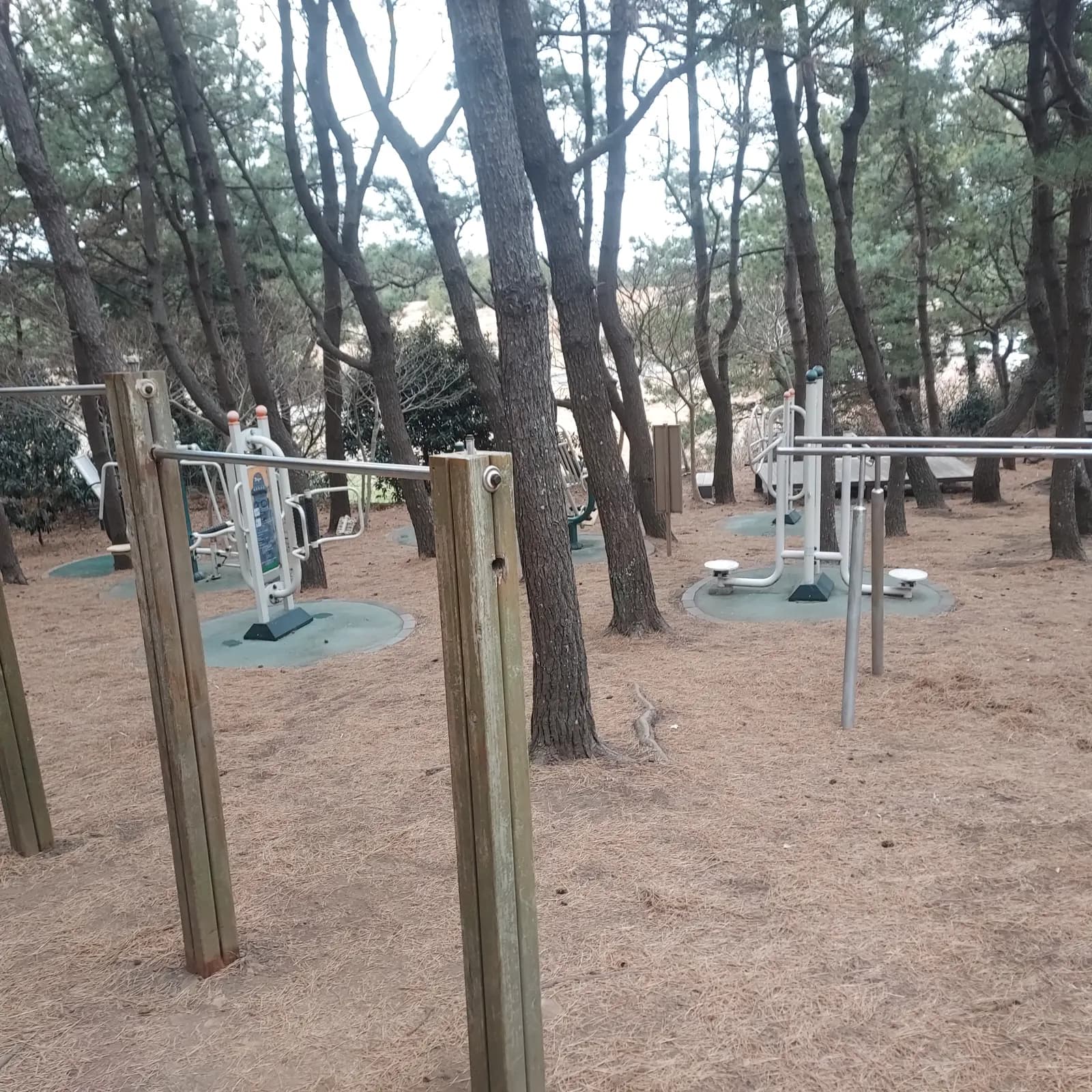상세