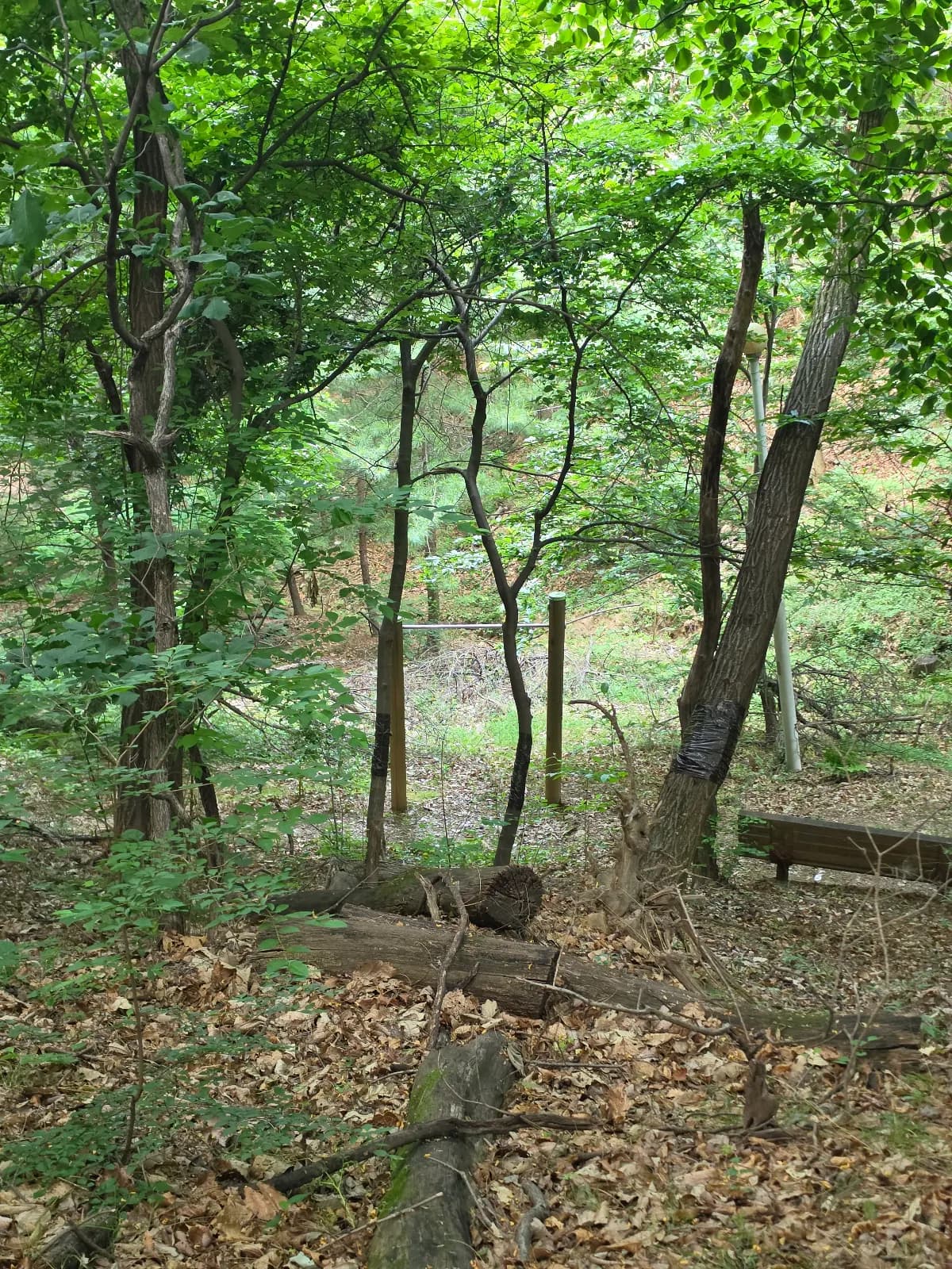 상세
