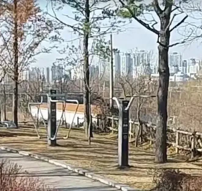 상세
