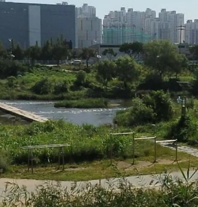 상세