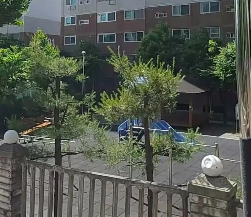 상세