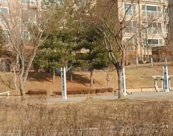 상세