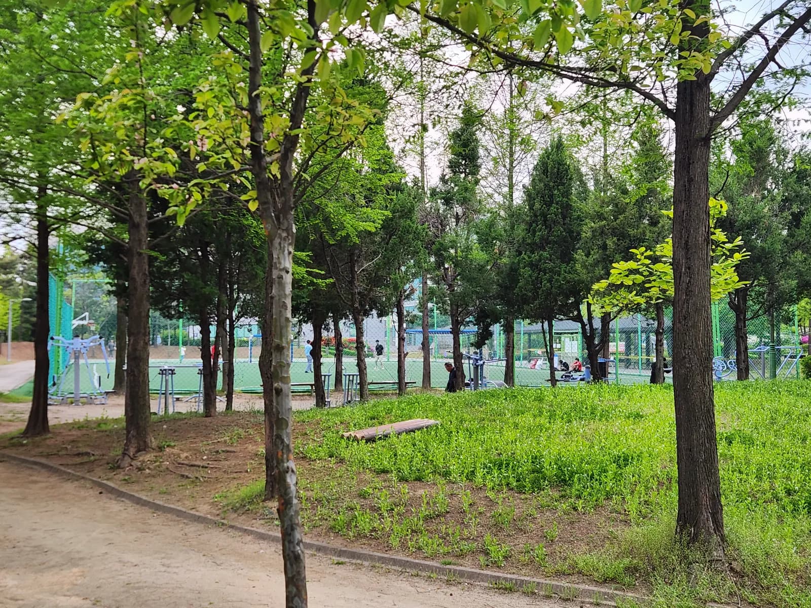 상세