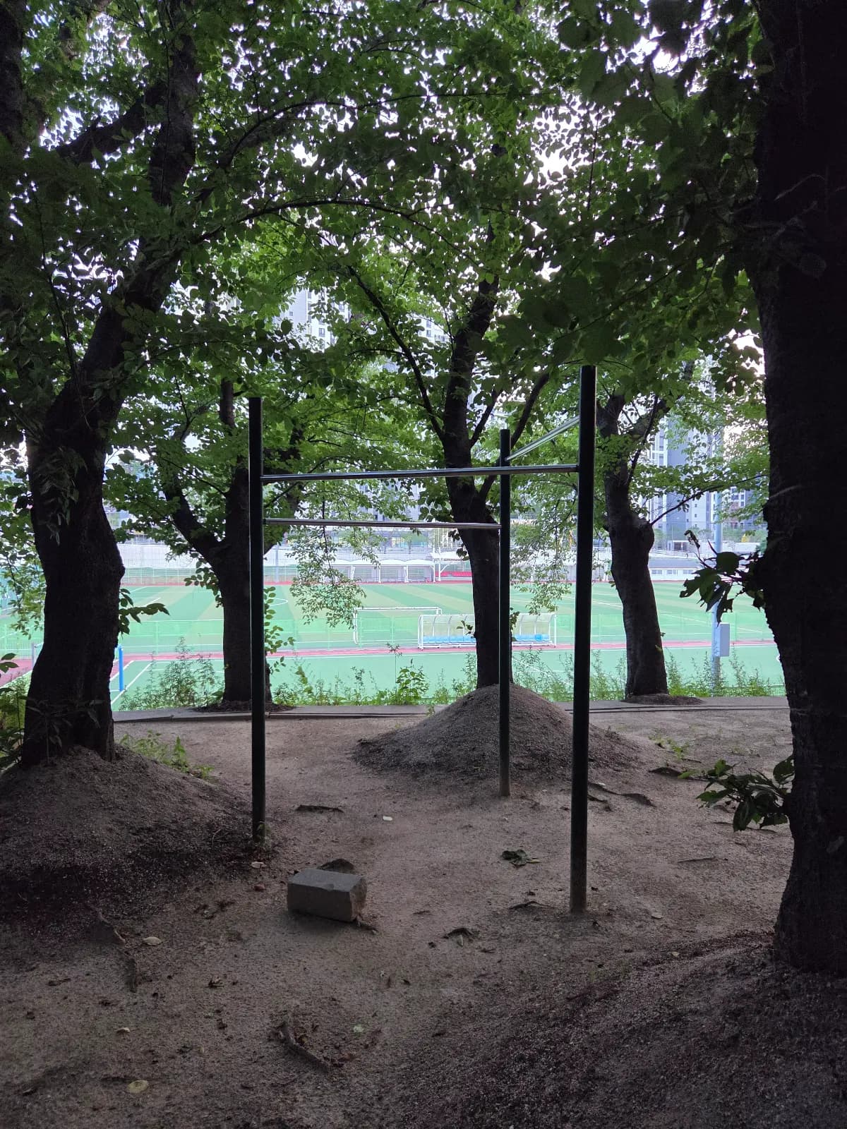 상세