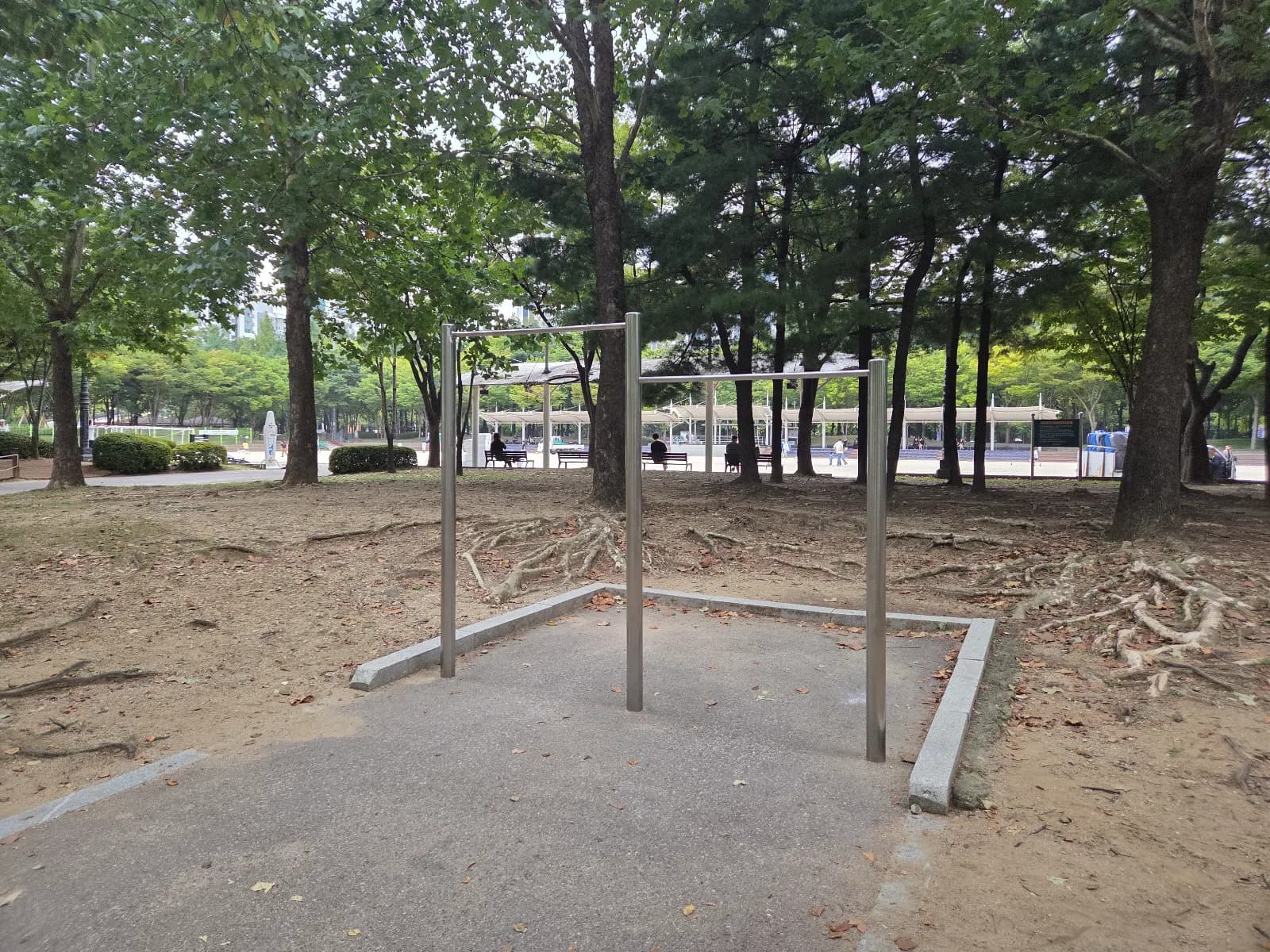 철봉 사진 1