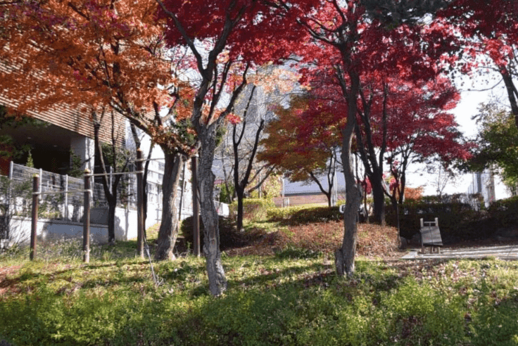 상세