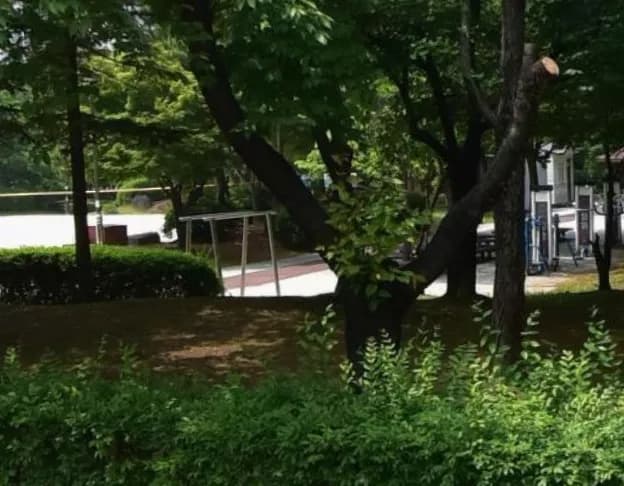 상세
