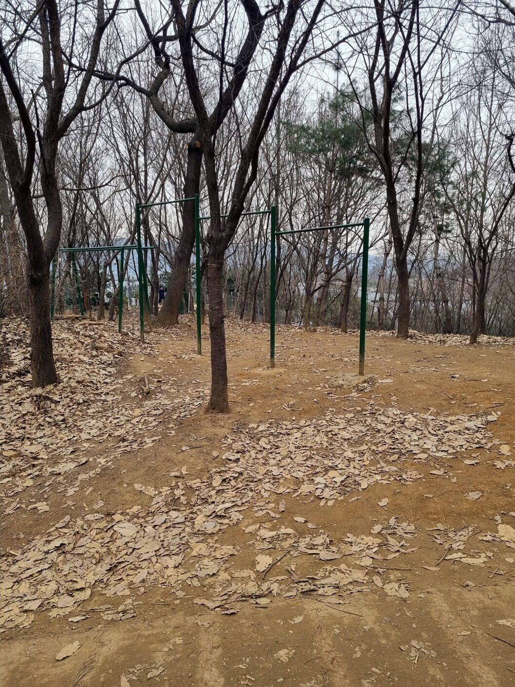 상세