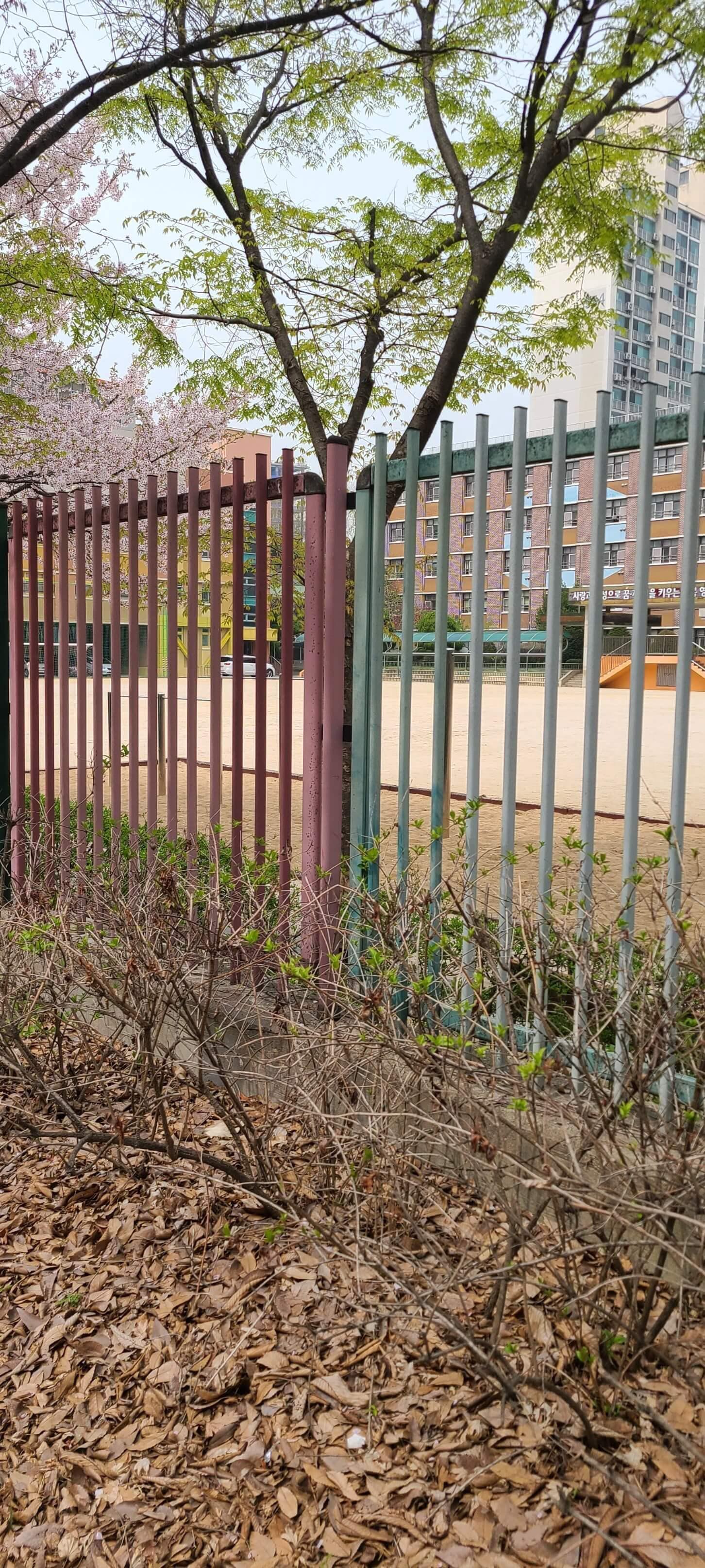 상세