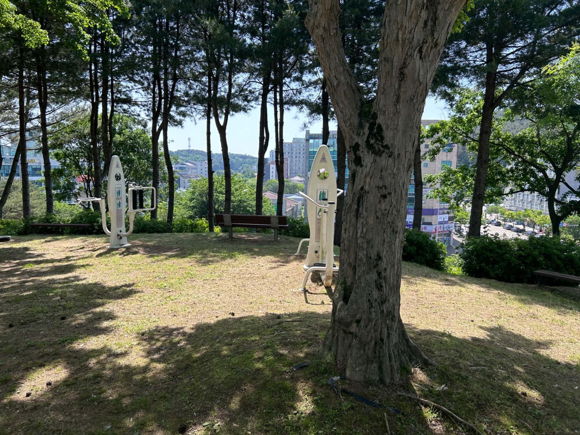 상세