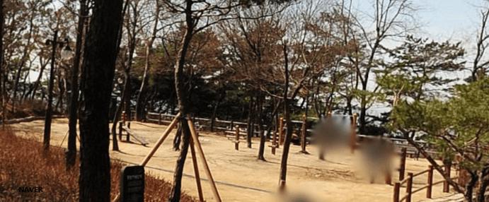 상세