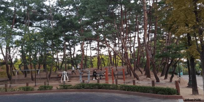 상세