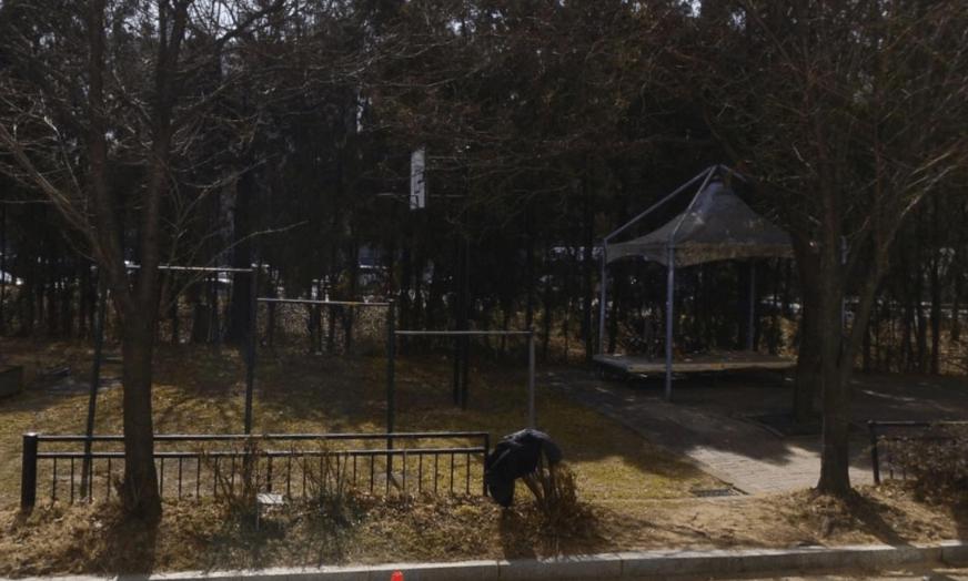 상세