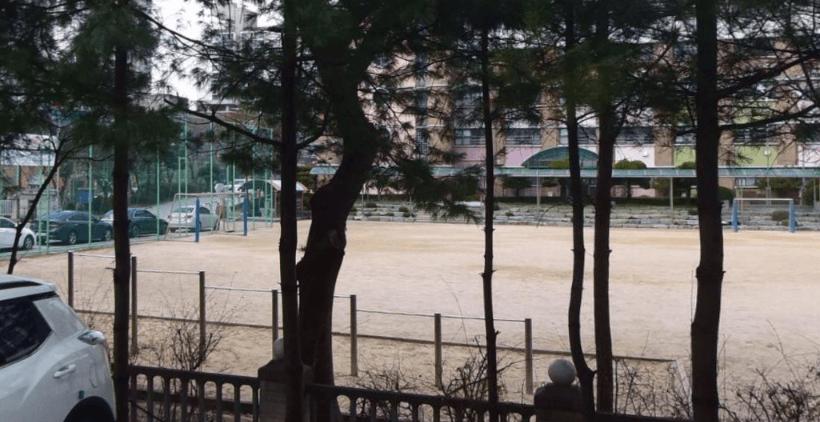 상세