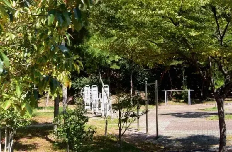상세